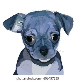 Dog head of Avatar vector Toy Terrier.