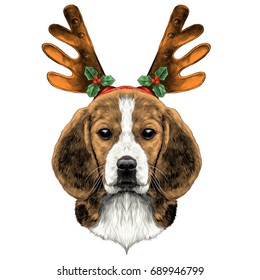 dog head breed the Beagle on the head Christmas headband with horns deer sketch vector graphics color picture