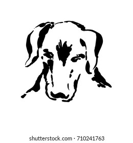 Dog head freehand drawing. Ink brush sketch.