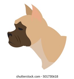 Dog head french bulldog