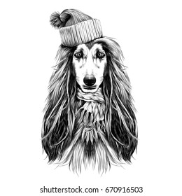dog head full-face breed of Afghan hound in Santa hat and scarf sketch vector graphics black and white drawing