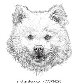 Dog head hand draw sketch black line on white background vector illustration.