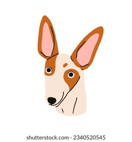 Cabeza de perro de la raza enredadera ibicenca. Un lindo cachorro divertido, retrato facial. Adorable perrito bicolor, boquilla de crías. Hocico canino de Purebred. Ilustración vectorial plana aislada en fondo blanco