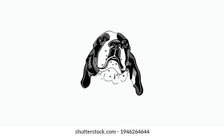 Dog head icon, dog face sign, dog head, Vector graphics.