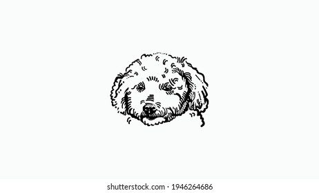 Dog head icon, dog face sign, dog head, Vector graphics.