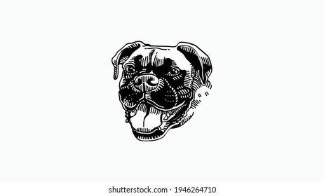 Dog head icon, dog face sign, dog head, Vector graphics.