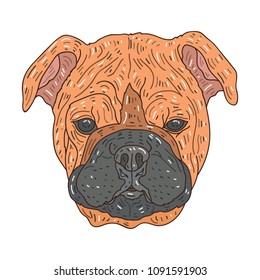 Dog Head Illustration