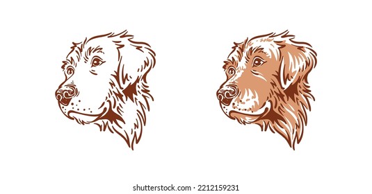 Dog head illustration drawing golden retriever pet type vector side view