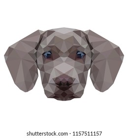 Dog head illustration. Vector image.