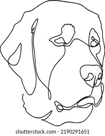 dog head, illustration, vector on white background. 