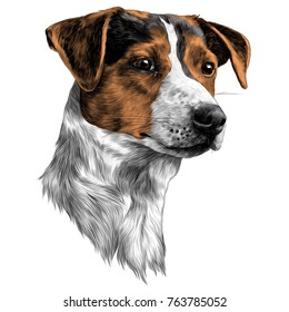 1,025 Jack russell terrier sketch Images, Stock Photos & Vectors ...