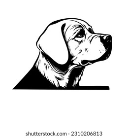 Dog head labrador retriever vector