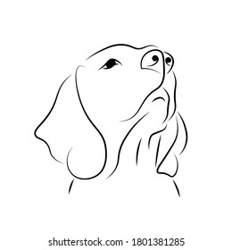 Dog Head, Line Art Vector Illustration