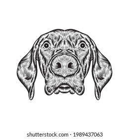 Dog head line art vector illustration with detailed fur.