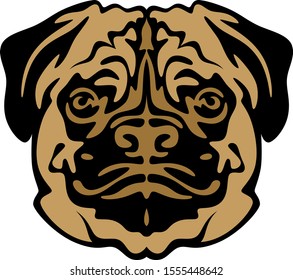 Dog head on a white background