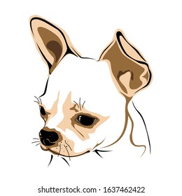 DOG HEAD ON WHITE BACKGROUND IN VECTOR