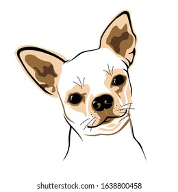 DOG HEAD ON WHITE BACKGROUND IN VECTOR