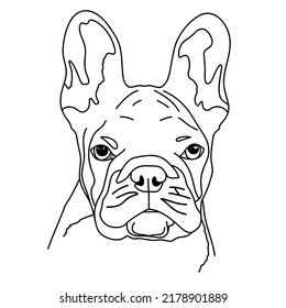 Dog head on white background. French bulldog. Vector illustration.