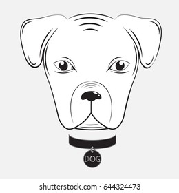 Dog head on a white background