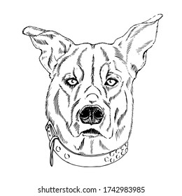 dog head, portrait of a pet, black and white vector illustration