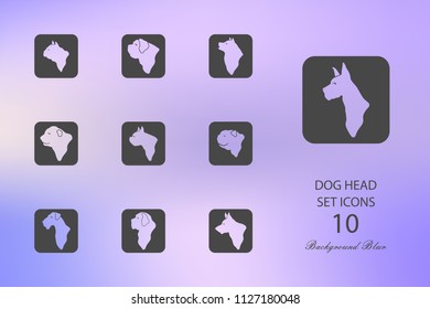 Dog head. Set of flat icons on blurred background. Vector illustration