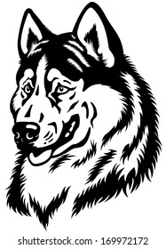 dog head, siberian husky breed, black and white illustration 