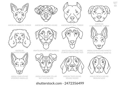 Dog head Silhouettes in alphabet order. All dog breeds. Simple line vector design. Vector illustration