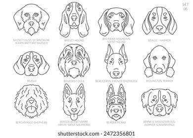 Cabeza de perro Siluetas en orden alfabético. Todas las razas de perros. Diseño de Vector de línea simple. Ilustración vectorial