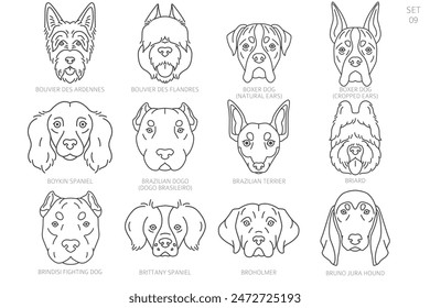 Dog head Silhouettes in alphabet order. All dog breeds. Simple line vector design. Vector illustration