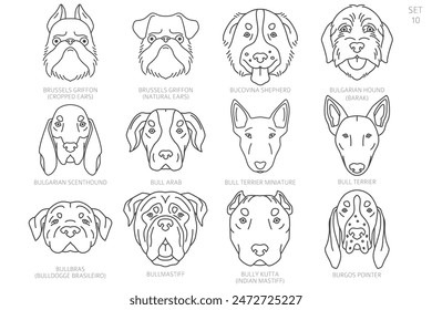 Dog head Silhouettes in alphabet order. All dog breeds. Simple line vector design. Vector illustration