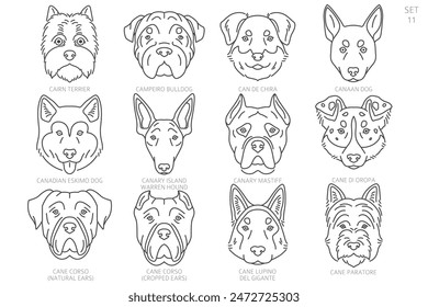 Dog head Silhouettes in alphabet order. All dog breeds. Simple line vector design. Vector illustration