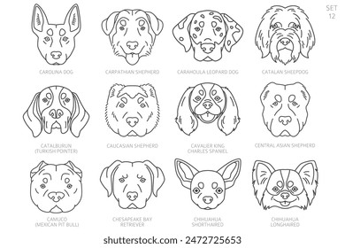 Dog head Silhouettes in alphabet order. All dog breeds. Simple line vector design. Vector illustration