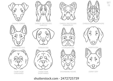 Dog head Silhouettes in alphabet order. All dog breeds. Simple line vector design. Vector illustration