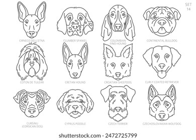 Dog head Silhouettes in alphabet order. All dog breeds. Simple line vector design. Vector illustration