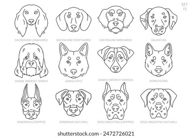 Dog head Silhouettes in alphabet order. All dog breeds. Simple line vector design. Vector illustration