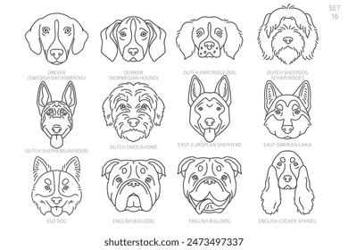 Dog head Silhouettes in alphabet order. All dog breeds. Simple line vector design. Vector illustration