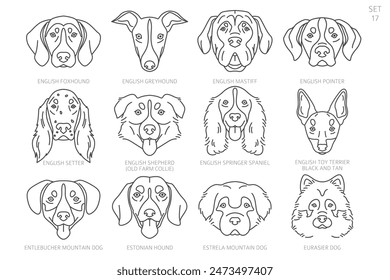 Dog head Silhouettes in alphabet order. All dog breeds. Simple line vector design. Vector illustration