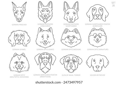 Dog head Silhouettes in alphabet order. All dog breeds. Simple line vector design. Vector illustration