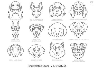 Dog head Silhouettes in alphabet order. All dog breeds. Simple line vector design. Vector illustration