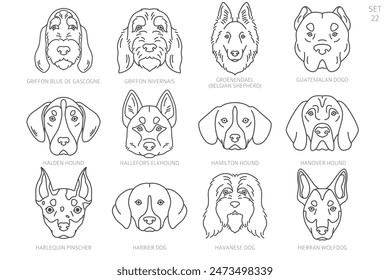 Dog head Silhouettes in alphabet order. All dog breeds. Simple line vector design. Vector illustration