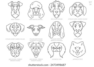 Dog head Silhouettes in alphabet order. All dog breeds. Simple line vector design. Vector illustration