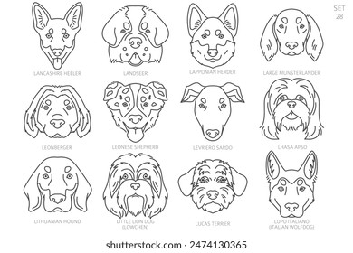 Dog head Silhouettes in alphabet order. All dog breeds. Simple line vector design. Vector illustration