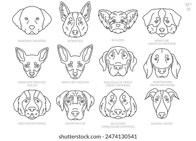 Dog head Silhouettes in alphabet order. All dog breeds. Simple line vector design. Vector illustration