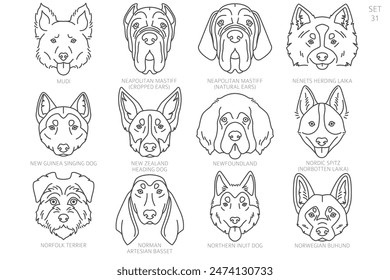 Cabeza de perro Siluetas en orden alfabético. Todas las razas de perros. Diseño de Vector de línea simple. Ilustración vectorial