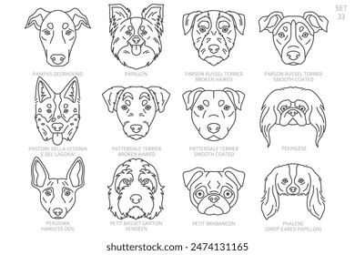 Dog head Silhouettes in alphabet order. All dog breeds. Simple line vector design. Vector illustration