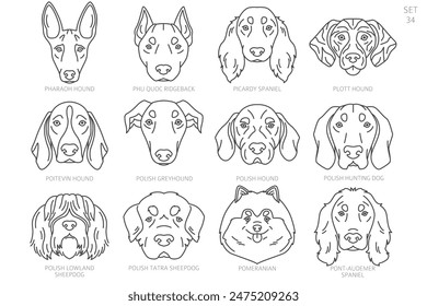 Dog head Silhouettes in alphabet order. All dog breeds. Simple line vector design. Vector illustration