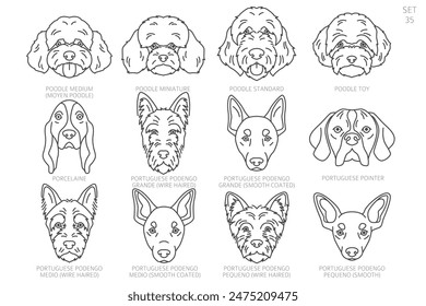 Dog head Silhouettes in alphabet order. All dog breeds. Simple line vector design. Vector illustration