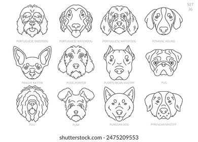 Dog head Silhouettes in alphabet order. All dog breeds. Simple line vector design. Vector illustration