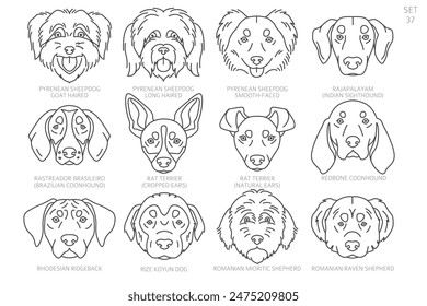 Dog head Silhouettes in alphabet order. All dog breeds. Simple line vector design. Vector illustration