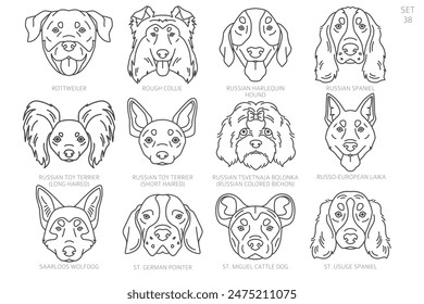 Dog head Silhouettes in alphabet order. All dog breeds. Simple line vector design. Vector illustration